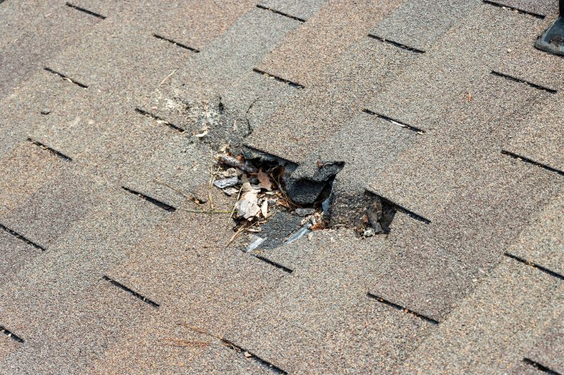 Damaged Roof Replacement in Mableton, GA