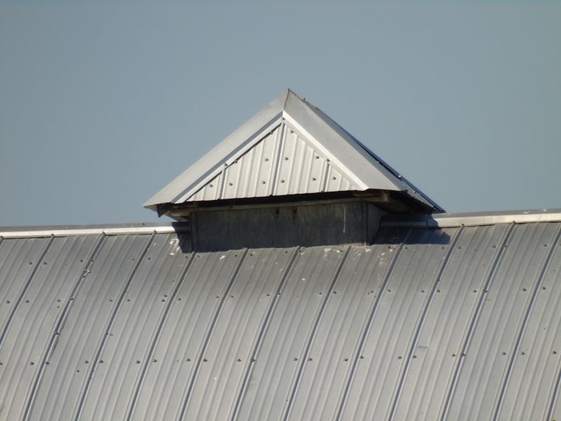 Tin Roof Installation in Mcdonough, GA