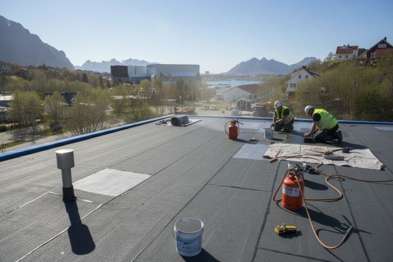 Tpo Roof Replacement in Lovejoy, GA