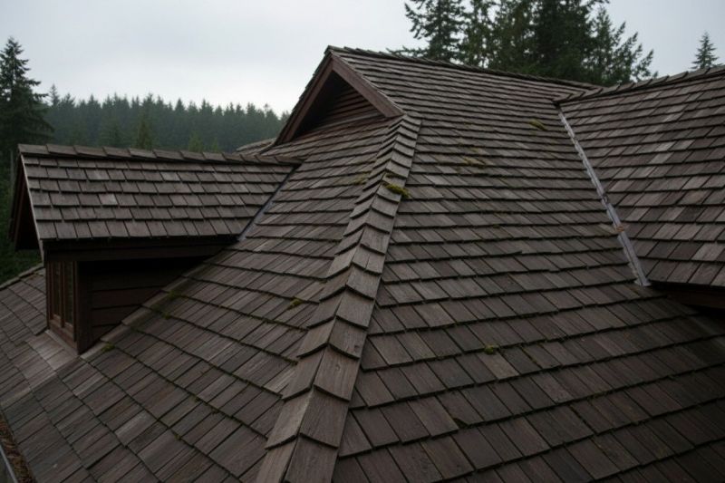 Wood Shake Roof Replacement in Stone Mountain, GA